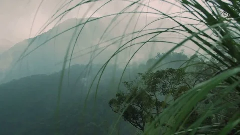 Beautiful view of the mountains in the mist Stock Footage 73633905