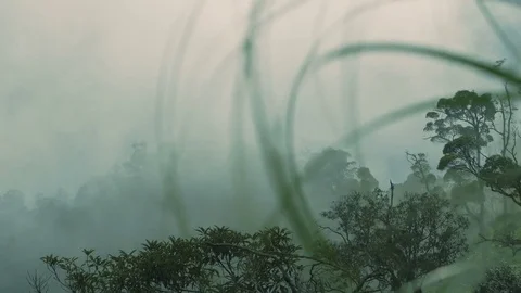 Beautiful view of the mountains in the mist Stock-Footage 73634124