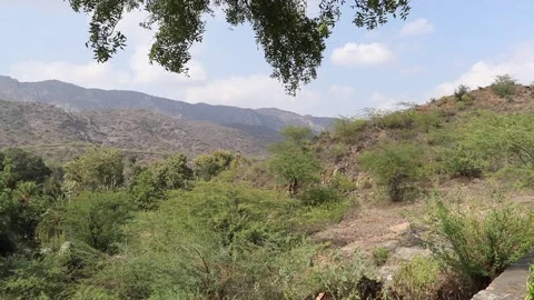Beautiful view of mountains with swaying tree branch. Stock Footage 170278675