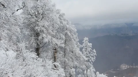 Beautiful view from the moving cabin of the ski lift at the ski resort Stock Footage 260468033