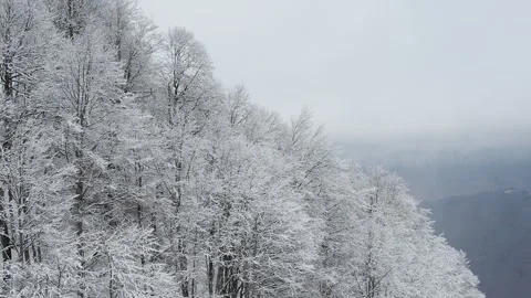 Beautiful view from the moving cabin of the ski lift at the ski resort Stock Footage 260468064