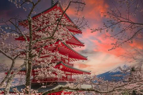 Beautiful view of Mt. Fuji and Chureito pagoda with cherry blossoms in japan. Stock-Fotos