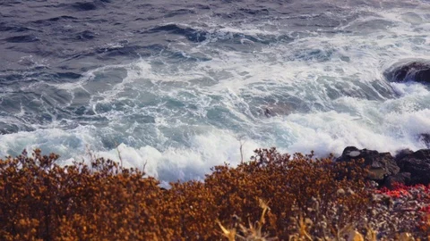Beautiful view of the ocean coast without people in the summertime. Stock Footage 112058931