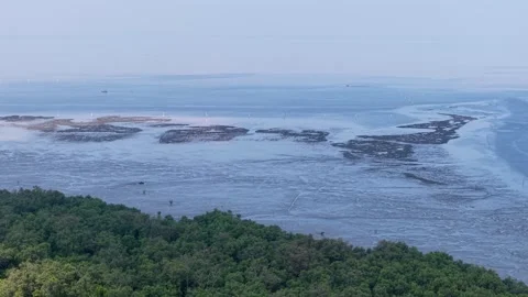 Beautiful view of the ocean with a green forest in the background Stock Footage 332219946