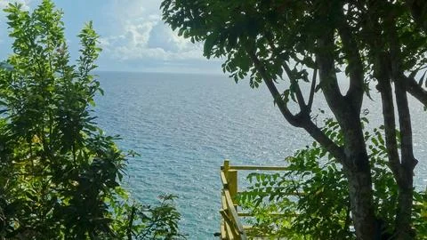 A beautiful view of the ocean with a tree in the background Stock Photos
