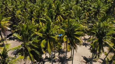 Beautiful view of the ocean, the volcano beach Stock Footage 97136832