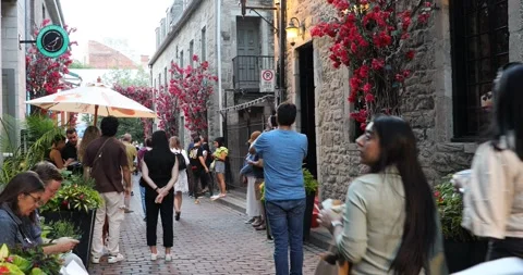 Beautiful view of Old Montreal streets in Downtown Montreal Stock Footage 252243432