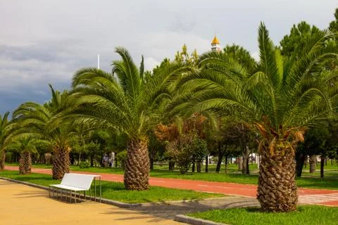 Beautiful View to Old Tower And Modern Skyscraper Residential House On Blue S Stock Photos