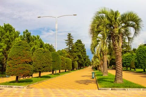 Beautiful View to Old Tower And Modern Skyscraper Residential House On Blue S Stock Photos