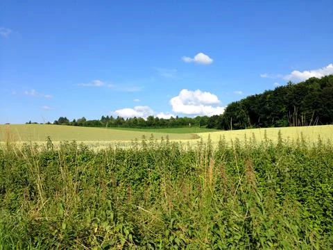 A beautiful view over fields Stock Photos