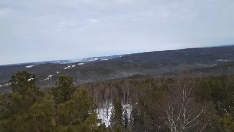 Beautiful view over the forest carpet Stock Footage 148198361