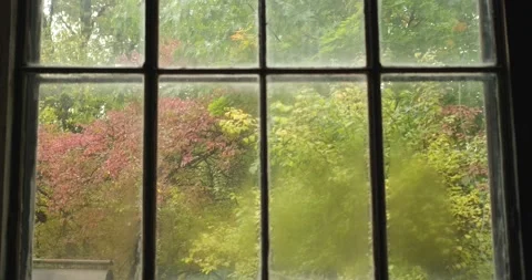 Beautiful view over huge framed window on autumn park or forest, 4K Stock Footage 221414568