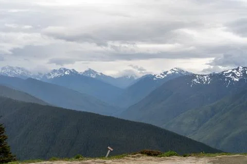 A beautiful view overlooking mountains on a cloudy day from Hurricane Ridge. Stock Photos