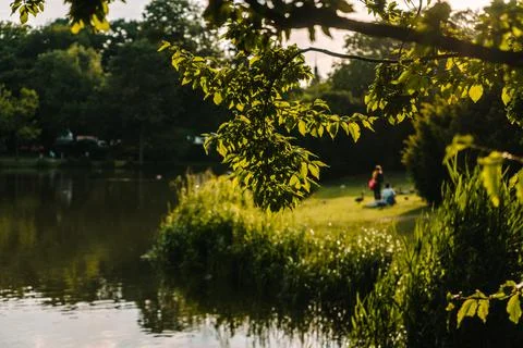 Beautiful view of the park Stock Photos