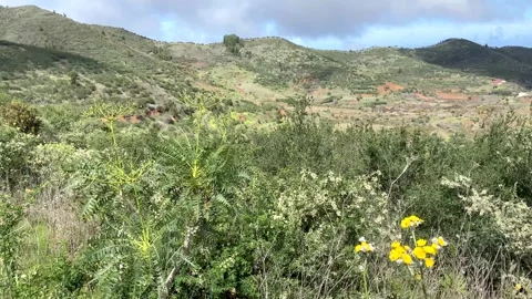 Beautiful view of Parque Rural de Teno Charcas de Erjos,Tenerife,Canary Islands. Stock Footage 304755084