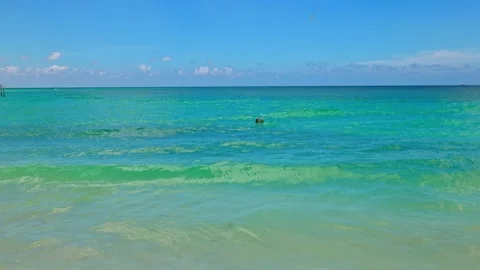 Beautiful view of pelican floating on turquoise Caribbean Sea on background Stock Footage 323519927
