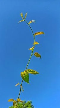 Beautiful view Stock Photos