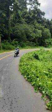 Beautiful view Stock Photos