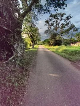 Beautiful view Stock Photos