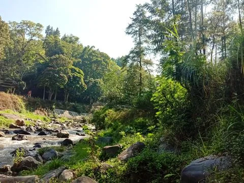 Beautiful view Stock Photos