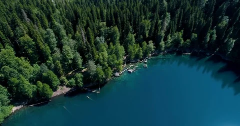 Beautiful view of the pine forest from the top with panoramic views of the blue Vídeos de archivo 115218672