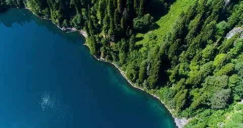 Beautiful view of the pine forest from the top with panoramic views of the blue Stockbeeldmateriaal 115219120