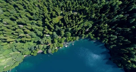 Beautiful view of the pine forest from the top with panoramic views of the blue Stockbeeldmateriaal 117064646