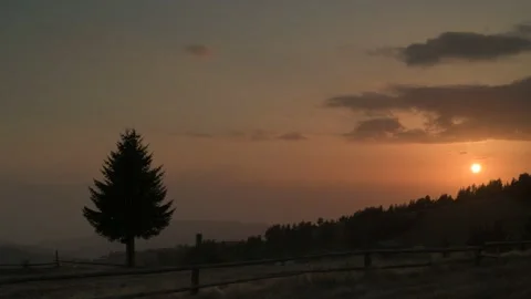 A beautiful view of a pine tree against the background of the setting sun. Stock Footage 230651282