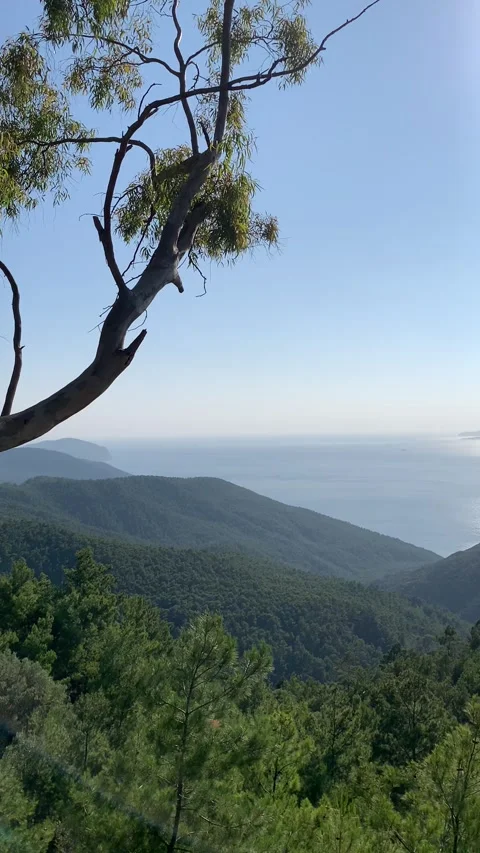 Beautiful view point. Mountains and sea Stock Footage 314277368