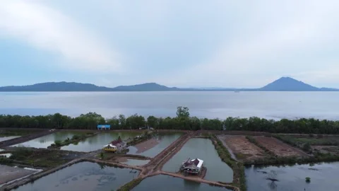 Beautiful view of the pond area bordering the receding coastal sea with mou.. Stock Footage 261932268