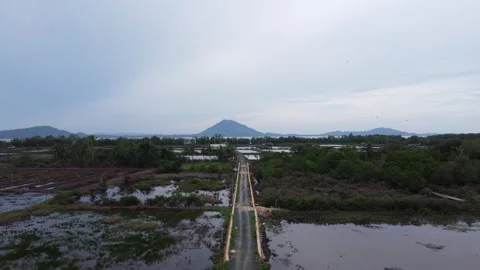 Beautiful view of the pond area bordering the receding coastal sea with mou.. Stock Footage 261936547