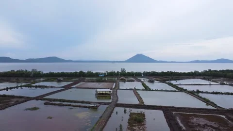 Beautiful view of the pond area bordering the receding coastal sea with mou.. Stock Footage 261936664