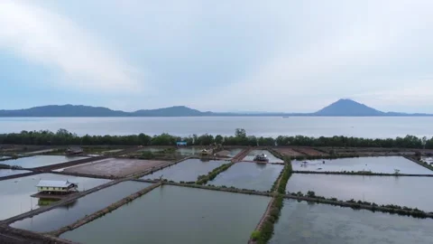 Beautiful view of the pond area bordering the receding coastal sea with mou.. Stock Footage 261936721