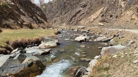 Beautiful view of the purest mountain cold stream with clear water Stock-Footage 241076432