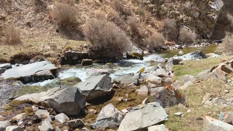 Beautiful view of the purest mountain cold stream with clear water Stock-Footage 241076491
