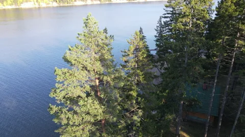 Beautiful view from the quadrocopter to the forest and river  Stock Footage 144034729