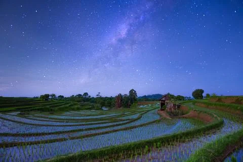 Beautiful view of rice fields and milkyway in the morning Stock Photos