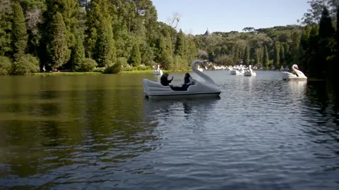 Beautiful view of the river from the Blake Lake in Gramado, RS (BR) Stock Footage 202577481