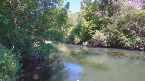 Beautiful view of a river in the middle of a forest Stock Footage 139464482