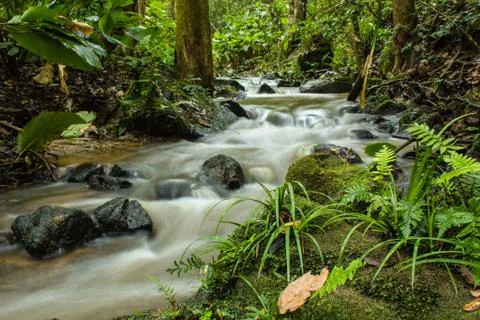 Beautiful view on the river Foto stock
