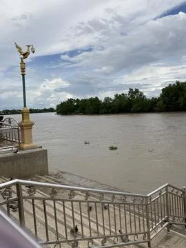 Beautiful view of the river Stock Photos