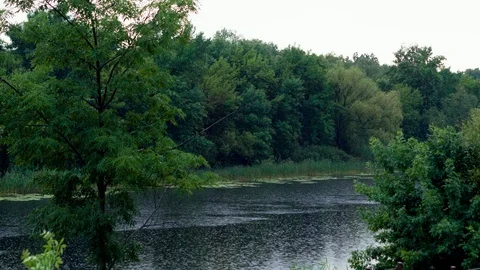 Beautiful view of river in the rain on summer day. 4K Stock Footage 129520147
