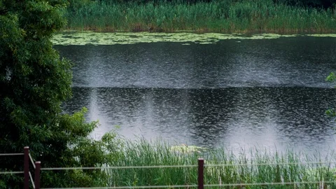 Beautiful view of river in the rain on summer day. 4K 库存影片 130099720