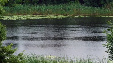 Beautiful view of river in the rain on summer day. 4K Stock-Footage 130754447