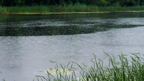Beautiful view of river in the rain on summer day. 4K Stock Footage 132777982