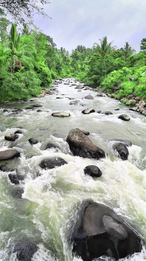 Beautiful view of the river with rocks, Solok, WWesy Sumatra, Indonesia Video stock 271140116
