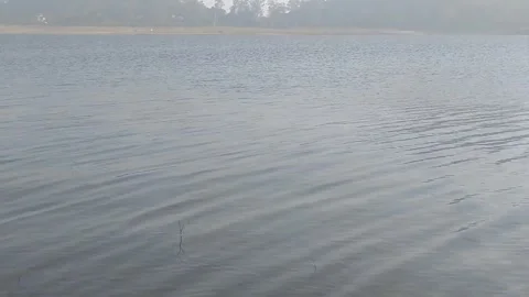 Beautiful view of river side island. Stock Footage 326213280