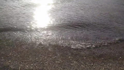 Beautiful view of river side island. 스톡 동영상 326213313
