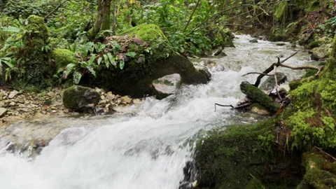 Beautiful view of river stream falling through the rocks. Stock Footage 145240659
