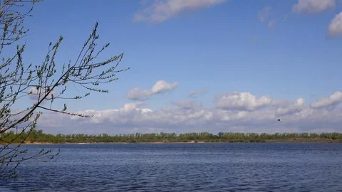 Beautiful view of the river through the trees, reflection of clouds on the water Stock Footage 109258592